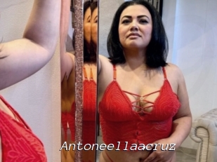 Antoneellaacruz