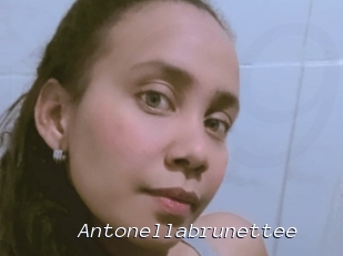 Antonellabrunettee