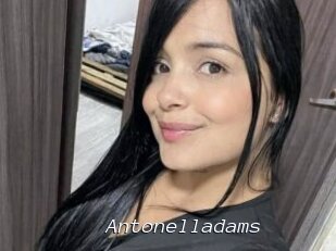 Antonelladams