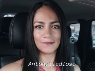 Antonelladiosa