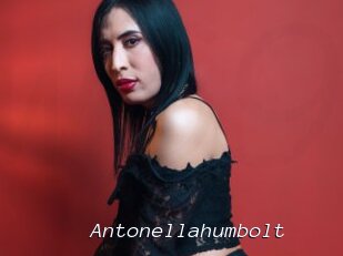 Antonellahumbolt