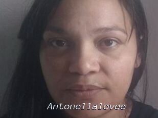 Antonellalovee