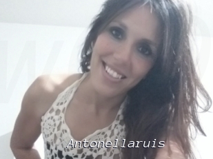 Antonellaruis