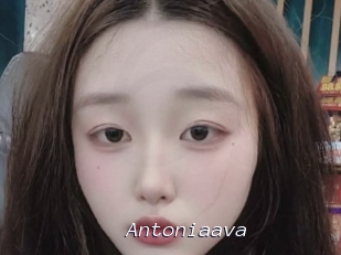 Antoniaava
