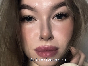 Antoniabasil