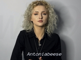 Antoniabeese