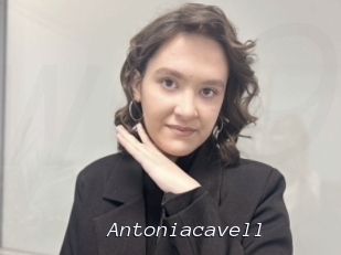 Antoniacavell