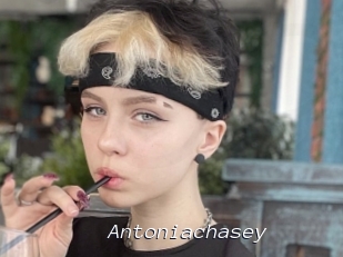 Antoniachasey