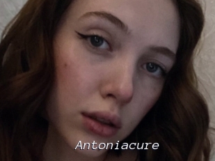Antoniacure