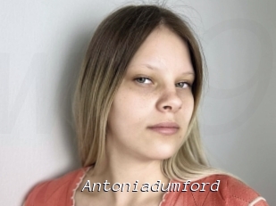 Antoniadumford
