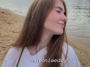Antoniaeddy