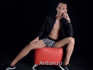 Antonip