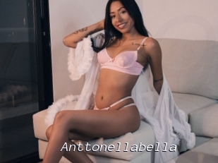 Anttonellabella