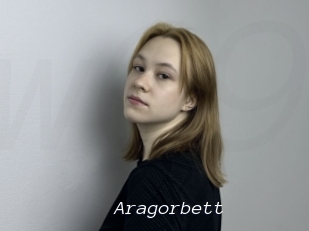 Aragorbett