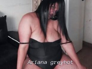 Ariana_greyhot