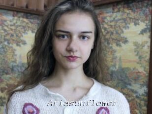 Ariasunflower
