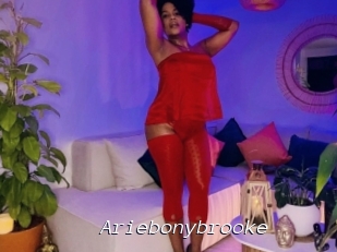 Ariebonybrooke