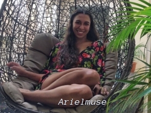 Arielmuse