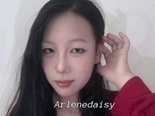 Arlenedaisy