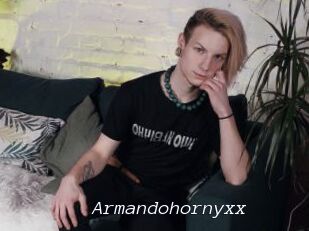 Armandohornyxx