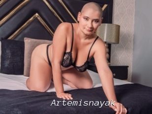 Artemisnayak