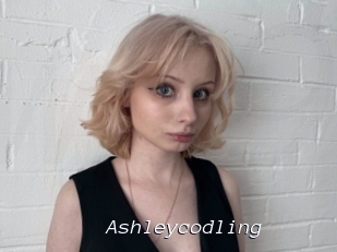 Ashleycodling