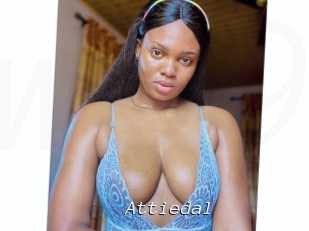 Attiedal