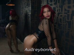 Audreybonnet