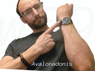 Avalonadonis