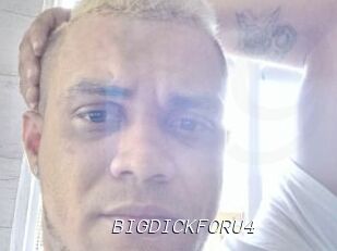 BIGDICKFORU4