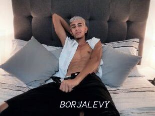 BORJALEVY