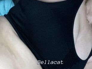 Bella_cat