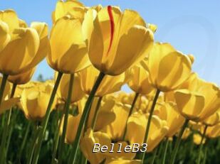 BelleB3