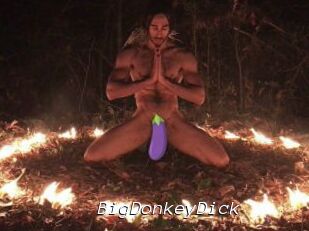 BigDonkeyDick