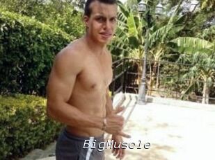 Big_Muscle