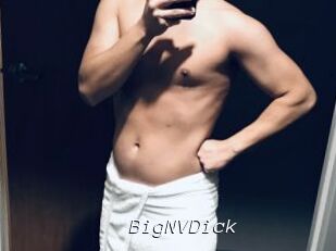BigNVDick