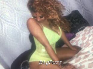 BigPurr