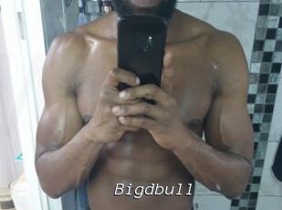 Bigdbull