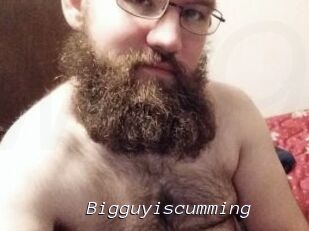 Bigguyiscumming