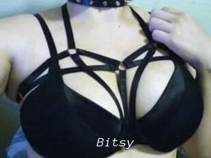 Bitsy_