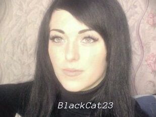 BlackCat23