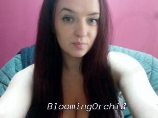 BloomingOrchid