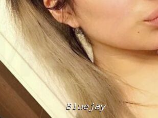 Blue_jay