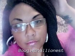 BougieStallionest