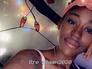 Bre_Shawn2020