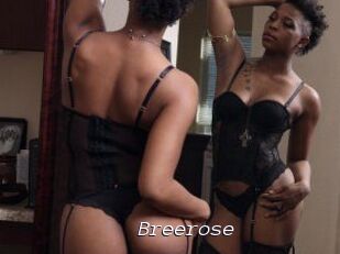 Breerose