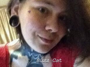 Buzz_Cat