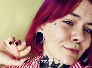 Buzzzz_Cat