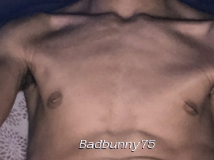 Badbunny75