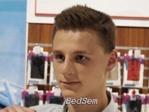 BedSem